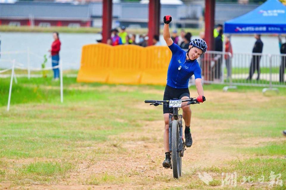 img, 务有限责任 img, 务有限责任