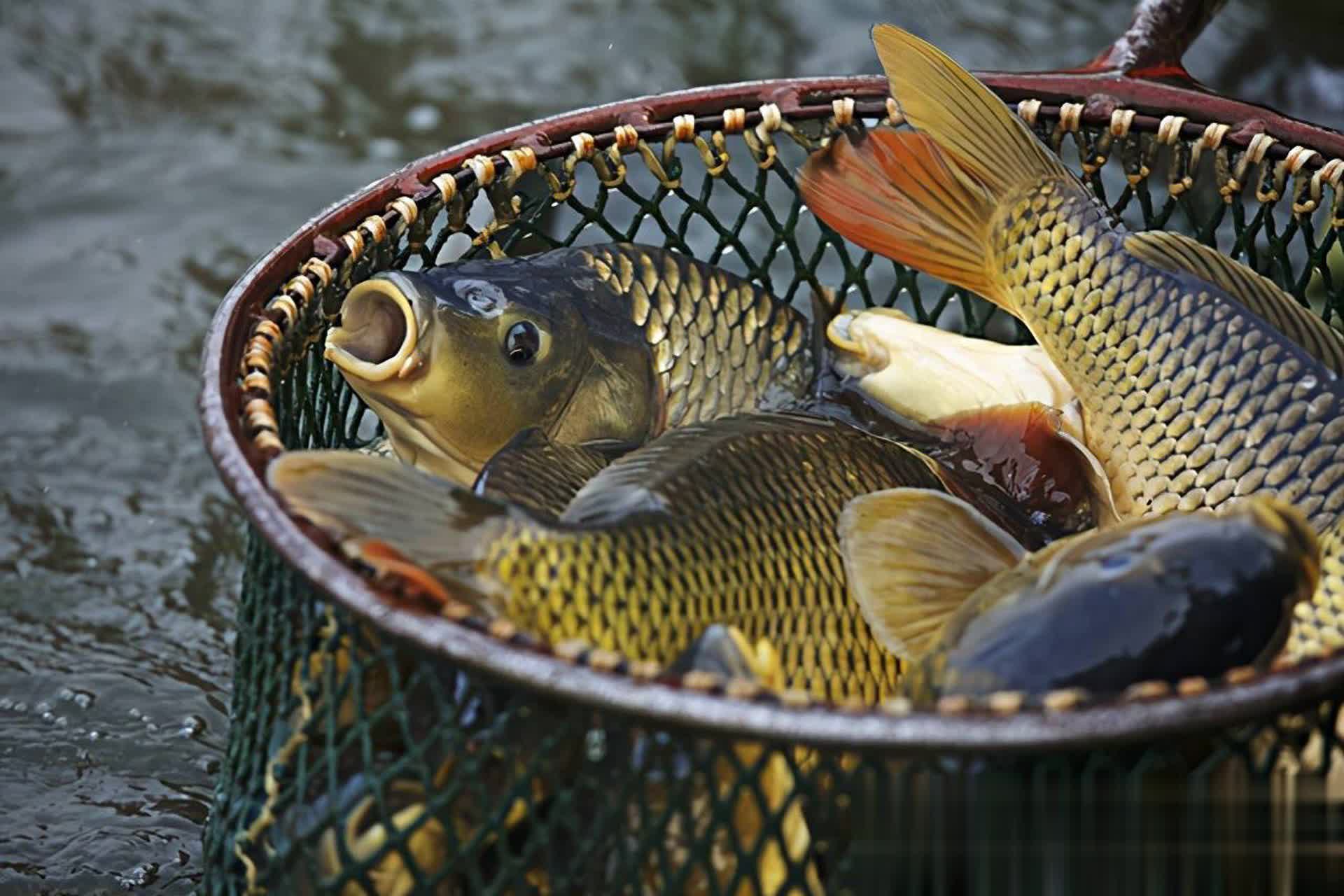 于静止状态 于静止状态