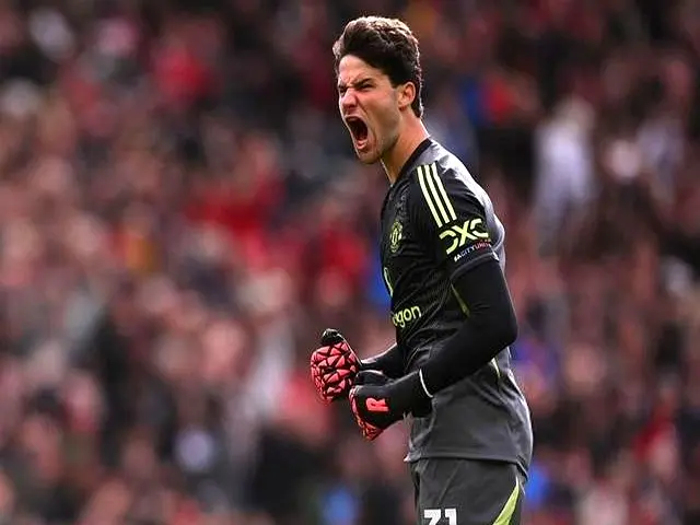 手可趁之机 手可趁之机