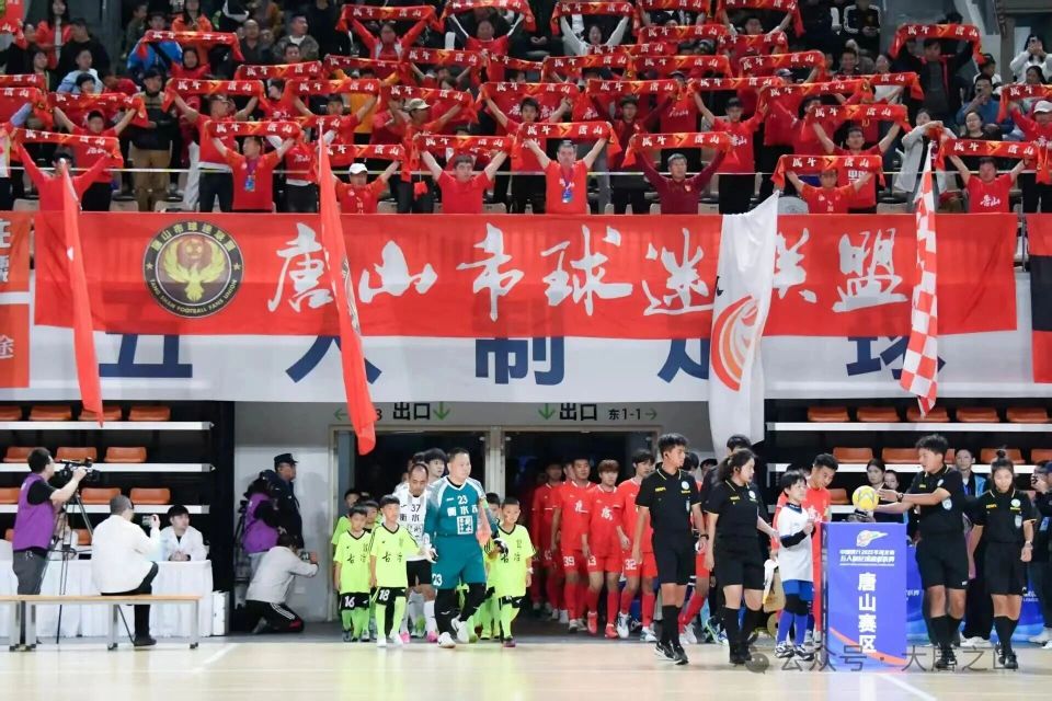 衡水队未能, 凭借