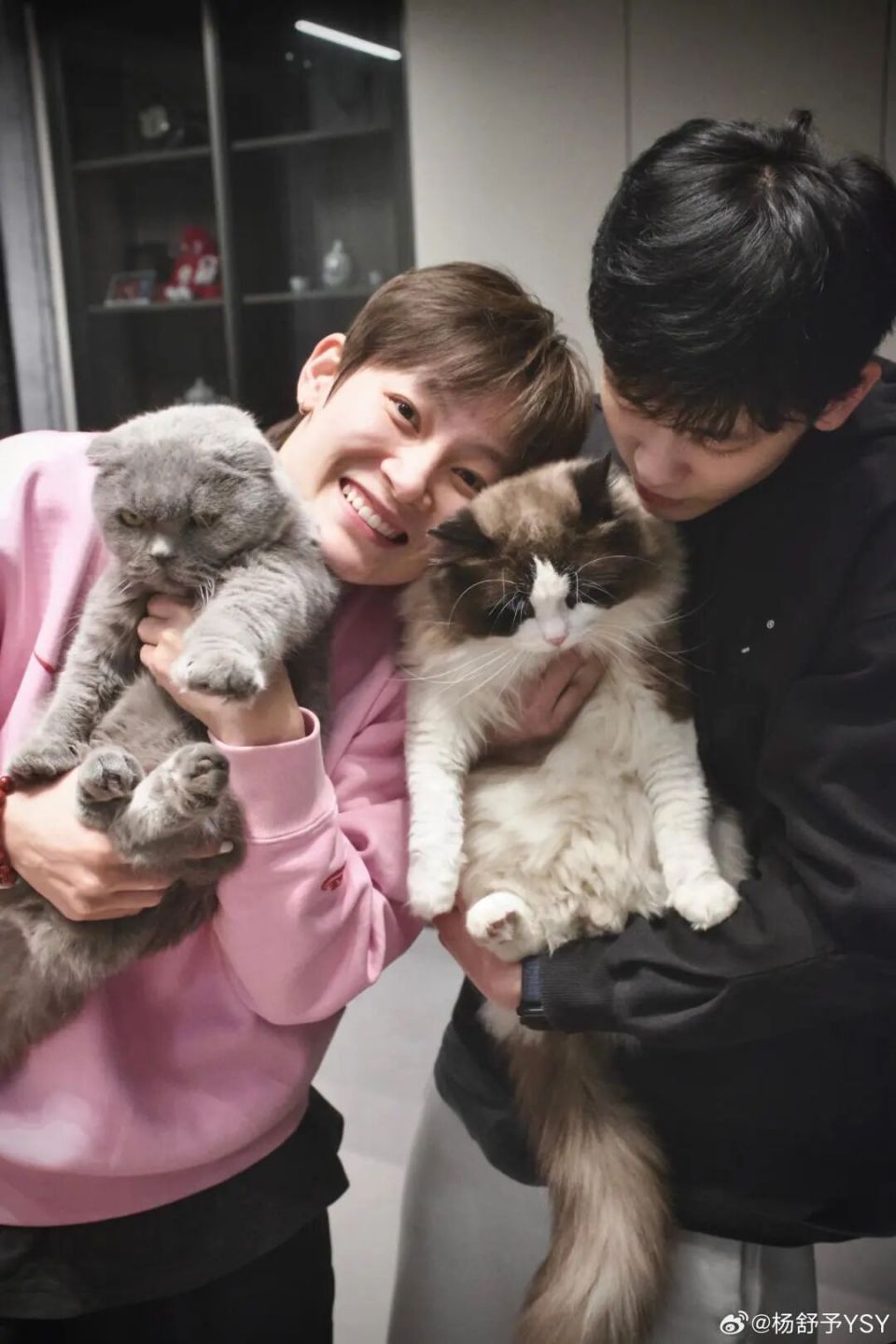 不传谣, bt, 赛事